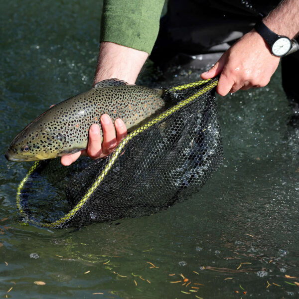 fly_fishing_san_carlo_zona_blu
